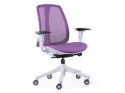 �����а���