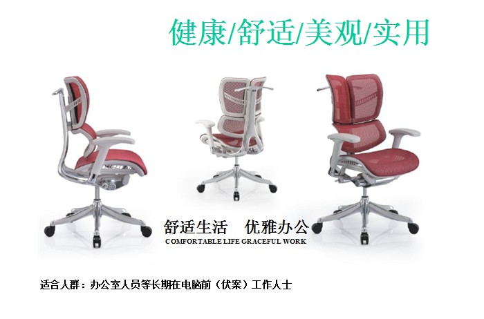 Office Chair|Mesh Medium Back Chair|Office Furniture|Mesh Medium Back Chair|�칫�Σ��а��Σ�ְԱ��